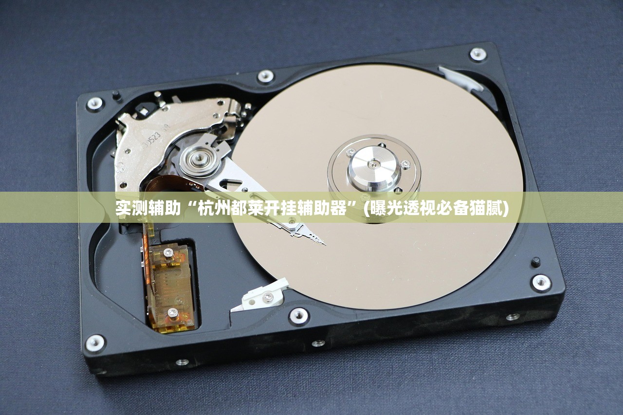 玩家必读“手机麻将挂真的可靠吗”(原来确实是有插件) 