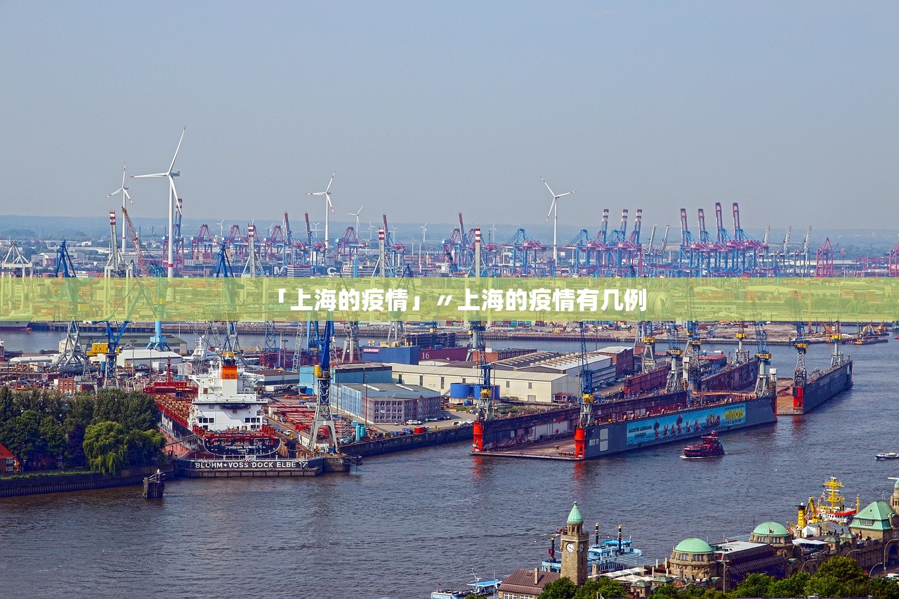 「上海的疫情」〃上海的疫情有几例 「上海的疫情」〃上海的疫情有几例
