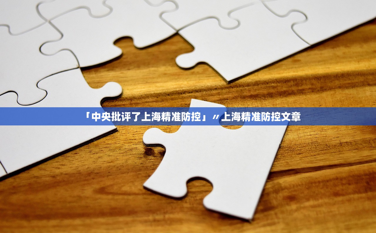 「中央批评了上海精准防控」〃上海精准防控文章