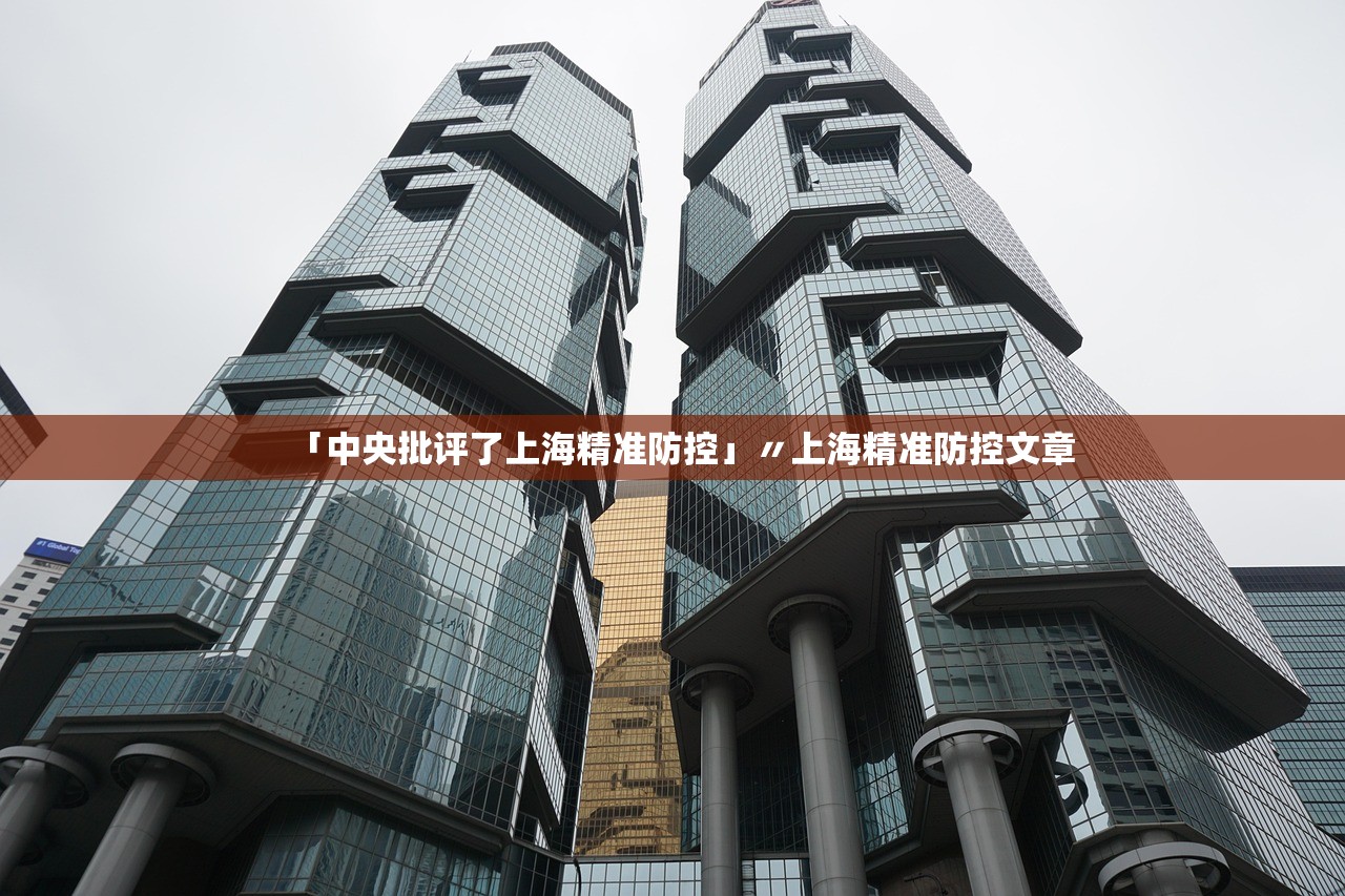 「中央批评了上海精准防控」〃上海精准防控文章