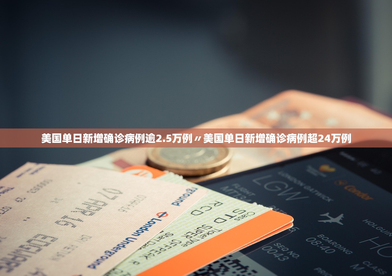 美国单日新增确诊病例逾2.5万例〃美国单日新增确诊病例超24万例