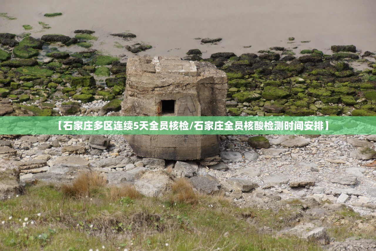 大连发现3名核酸异常人员-大连发现三名感染新型肺炎