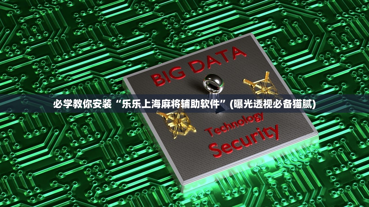 必学教你安装“乐乐上海麻将辅助软件	”(曝光透视必备猫腻)
