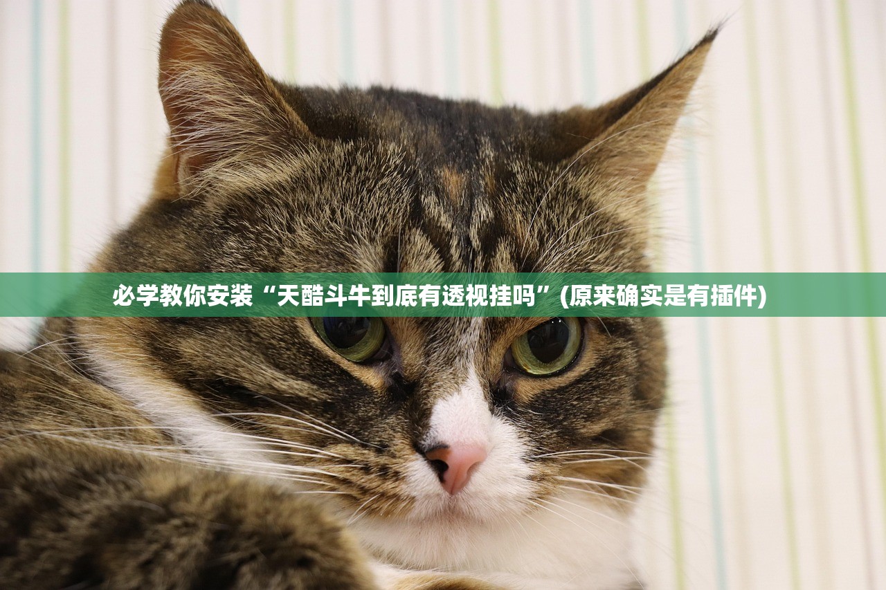 必学教你安装“天酷斗牛到底有透视挂吗”(原来确实是有插件) 