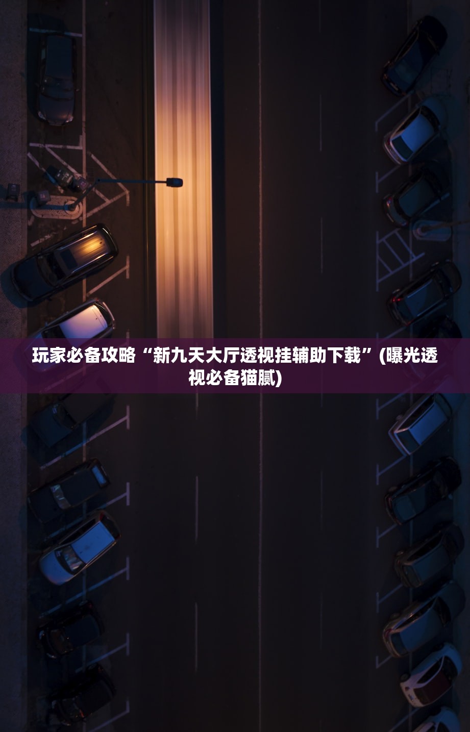 玩家必备攻略“新九天大厅透视挂辅助下载	”(曝光透视必备猫腻)