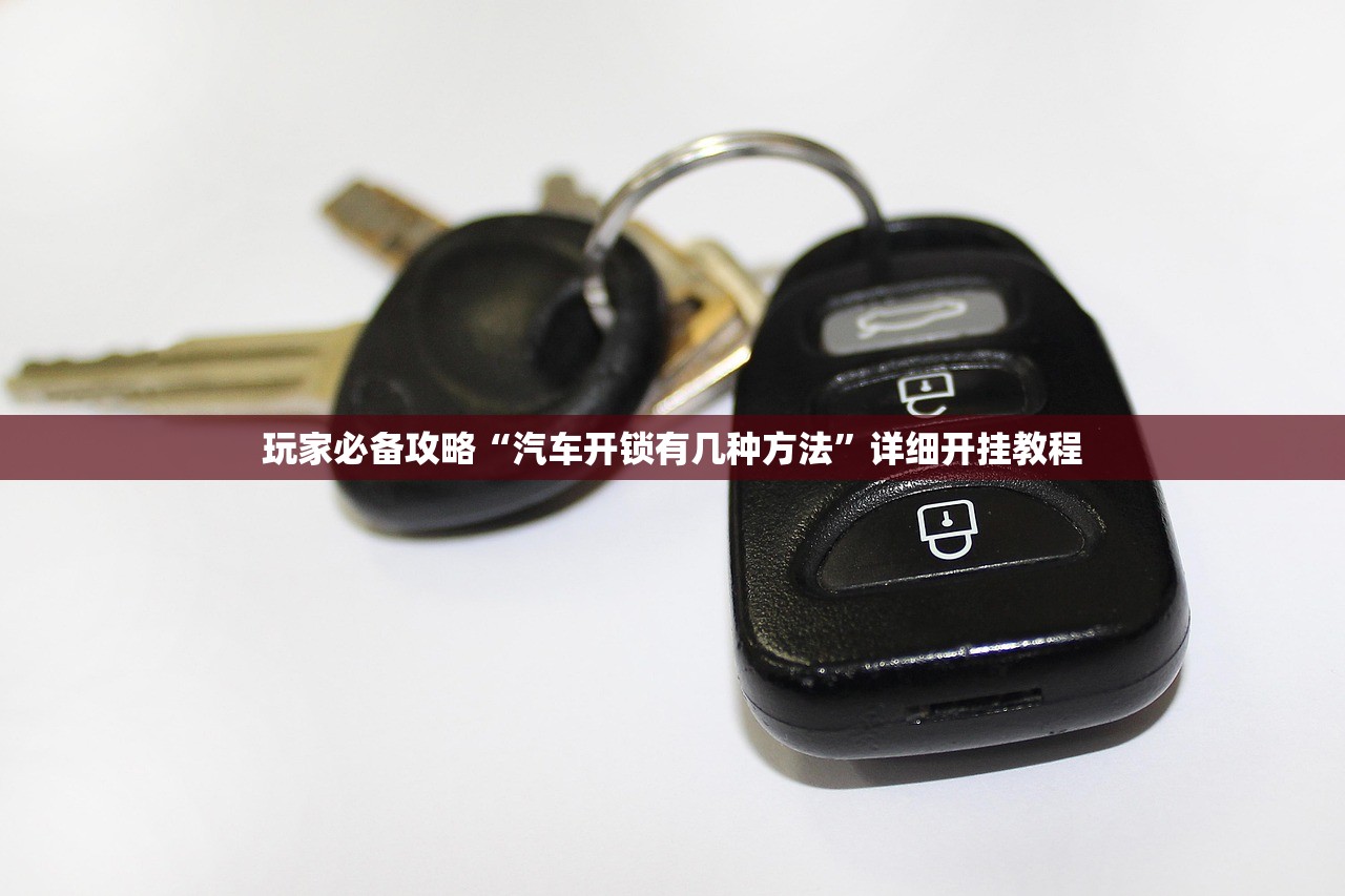 玩家必备攻略“汽车开锁有几种方法”详细开挂教程