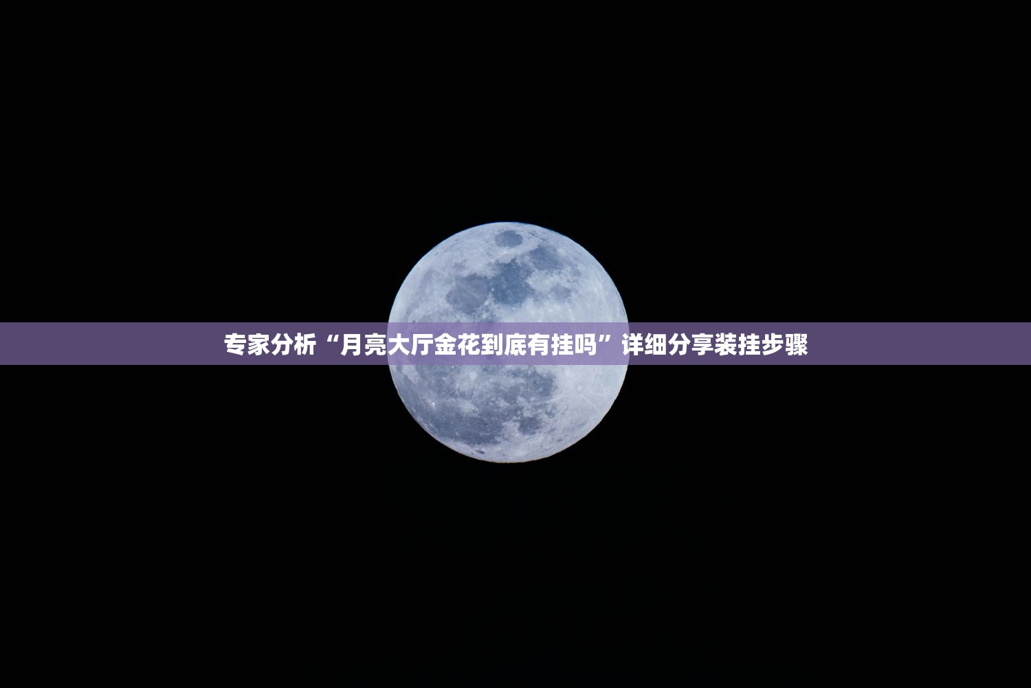 专家分析“月亮大厅金花到底有挂吗	”详细分享装挂步骤
