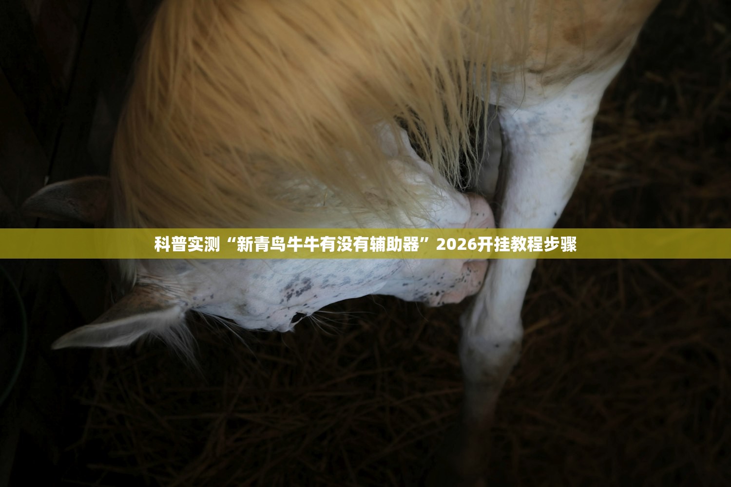 今日实测“佳友互娱可以开挂吗”2026透视开挂