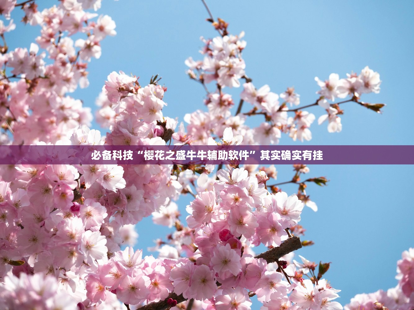 安装程序教程“同城游天王怎么装挂	”(原来确实是有插件)