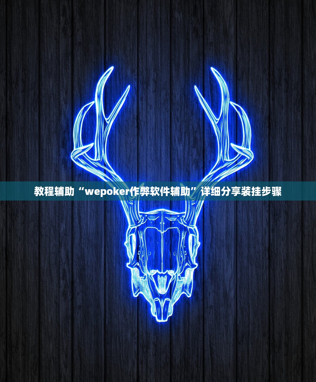 教程辅助“wepoker作弊软件辅助”详细分享装挂步骤