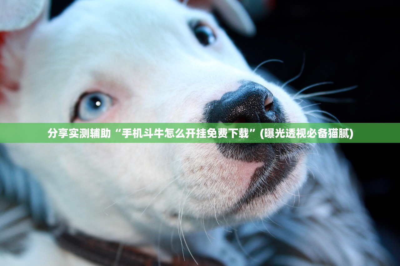 分享实测辅助“手机斗牛怎么开挂免费下载	”(曝光透视必备猫腻)