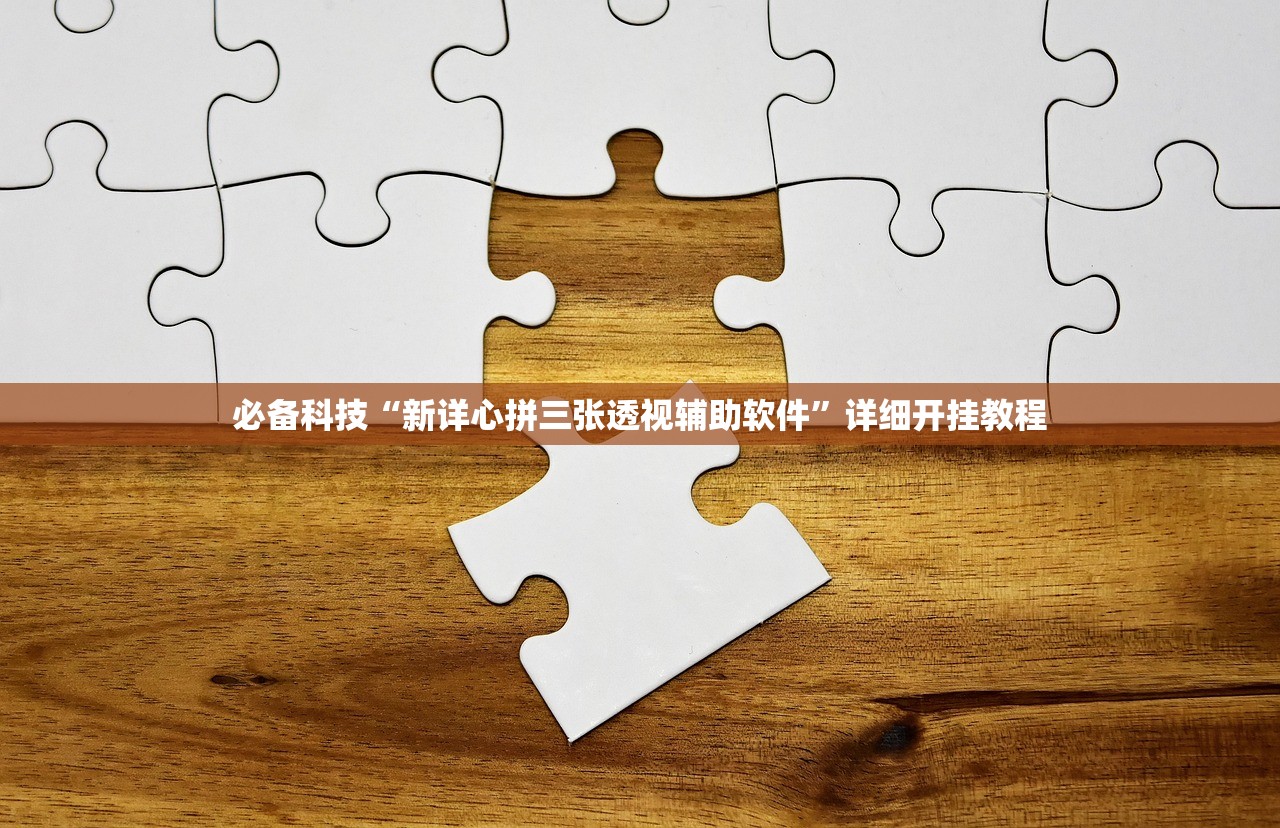 必备科技“新详心拼三张透视辅助软件”详细开挂教程
