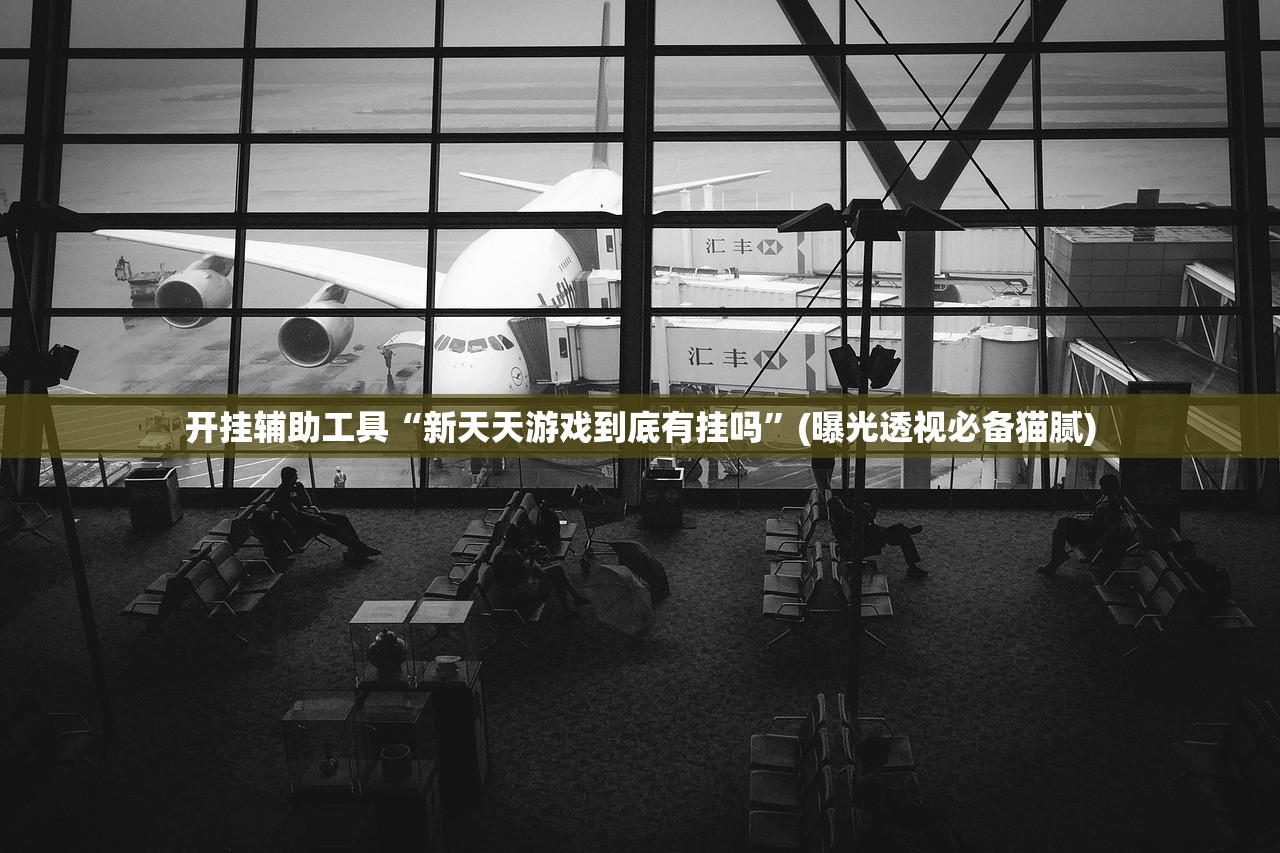 开挂辅助工具“新天天游戏到底有挂吗”(曝光透视必备猫腻)