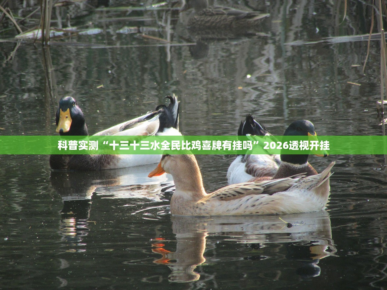 开挂辅助工具“四川麻将外挂神器版下载”详细开挂教程