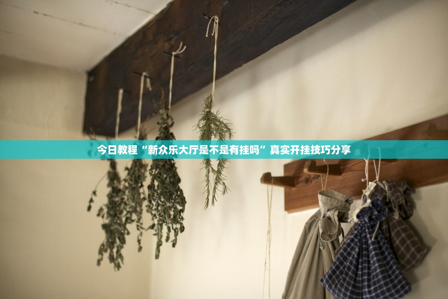 今日教程“新众乐大厅是不是有挂吗”真实开挂技巧分享