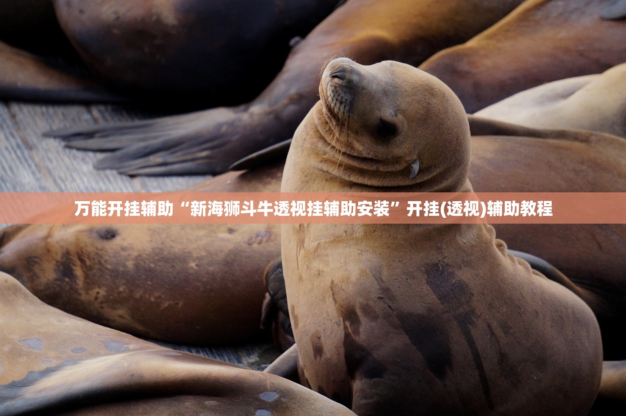 万能开挂辅助“新海狮斗牛透视挂辅助安装”开挂(透视)辅助教程
