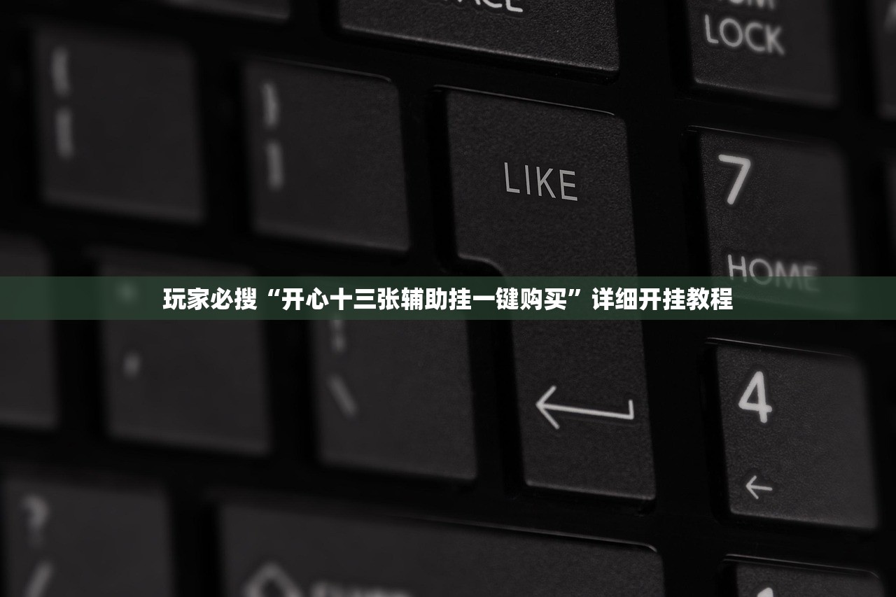 玩家必搜“开心十三张辅助挂一键购买”详细开挂教程