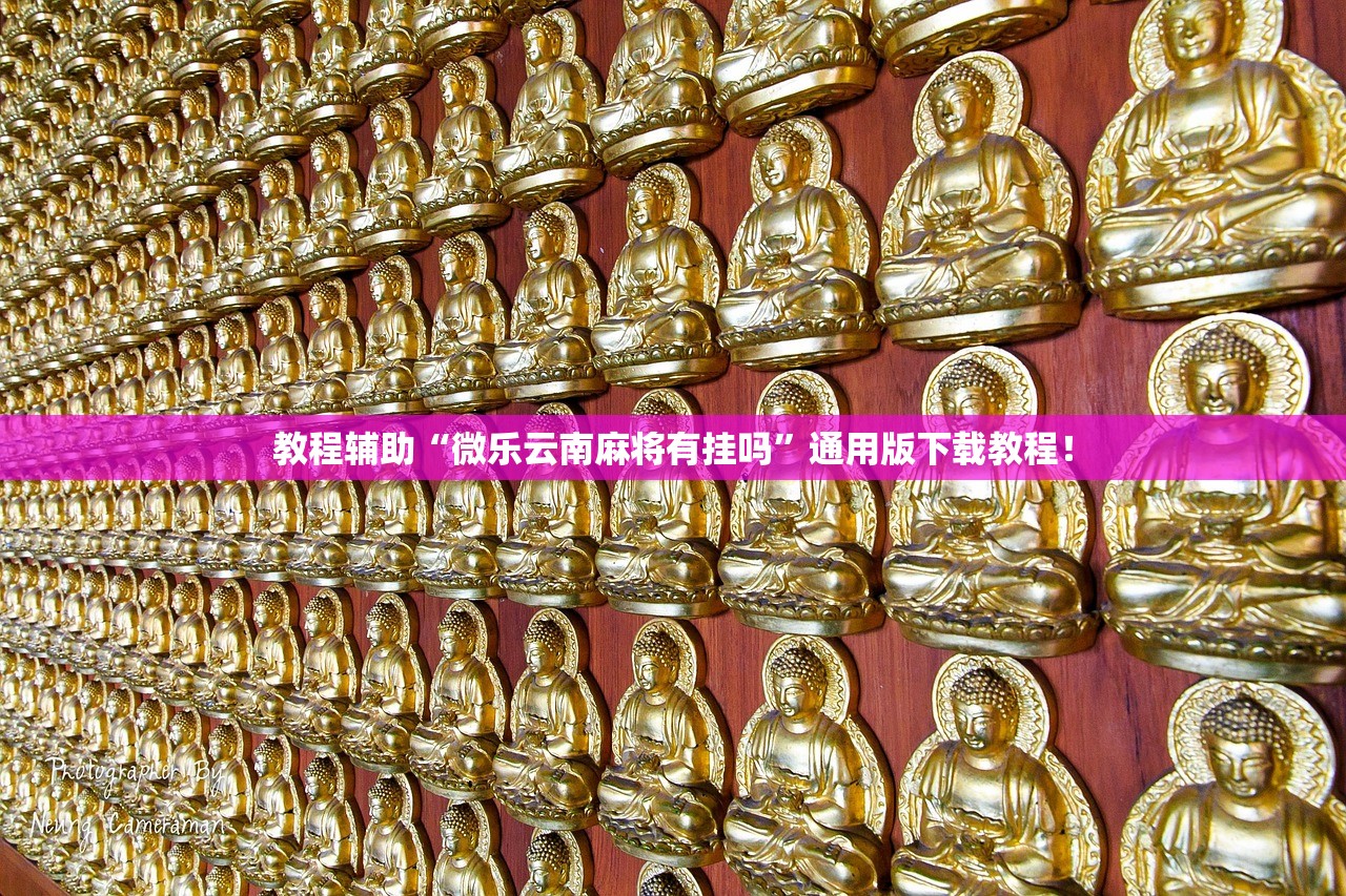 教程辅助“微乐云南麻将有挂吗”通用版下载教程！