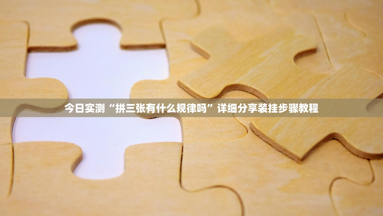 实操教程“大众茶苑能不能开挂	”(原来确实是有插件) 