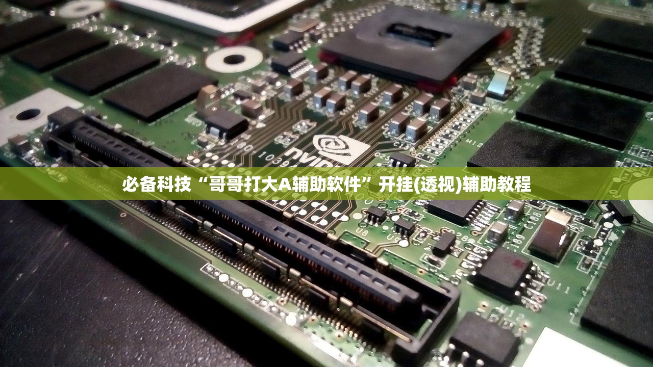 今日实测“蝴蝶大厅透视挂专用”详细开挂教程