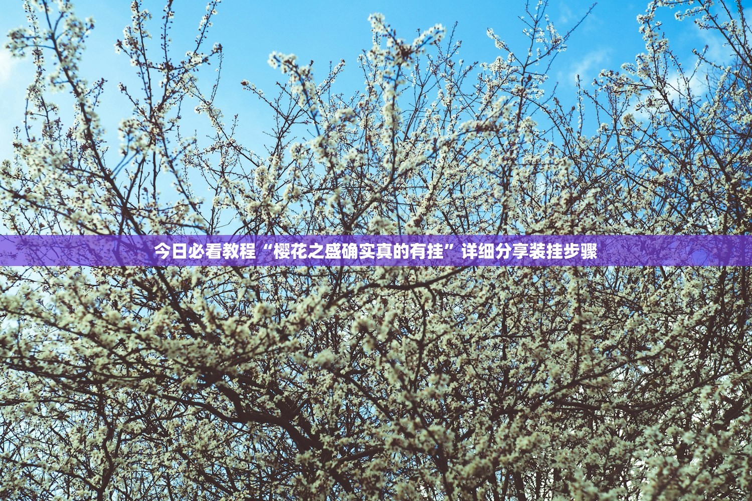 必备科技“牛小天飘三叶辅助方法”真实开挂技巧分享