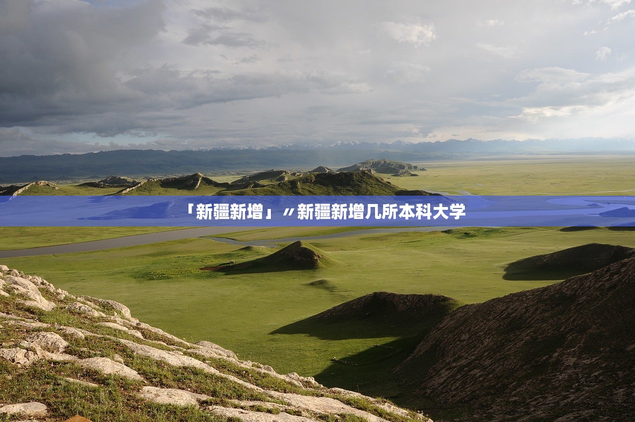 科普实测“小南四川长牌辅助工具”开挂(透视)辅助教程