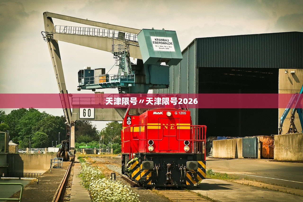 必备科技“新卡农牛牛透视挂辅助器	”科技辅助神器手机版教程