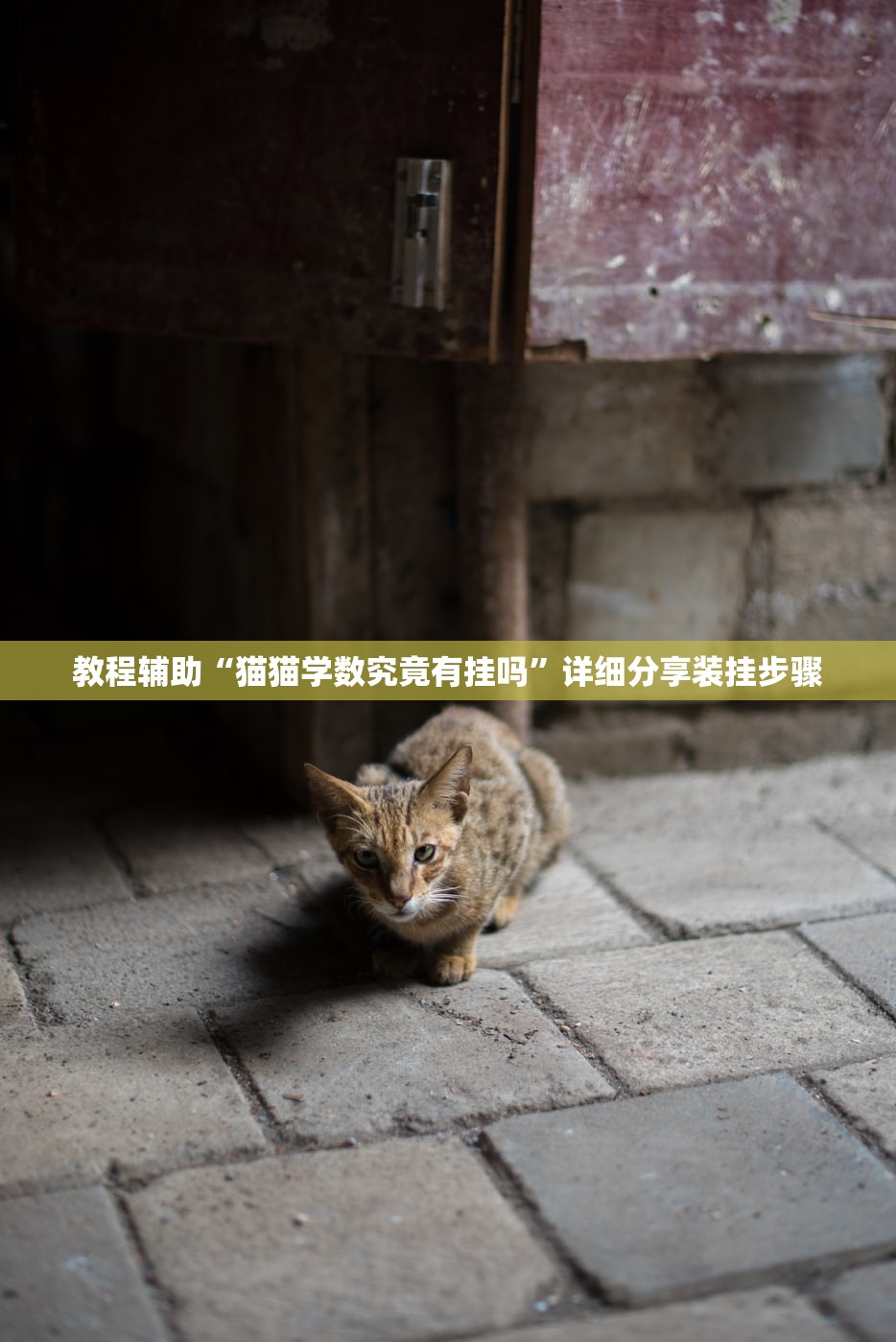 玩家必搜“新乐游有辅助吗	”详细开挂教程