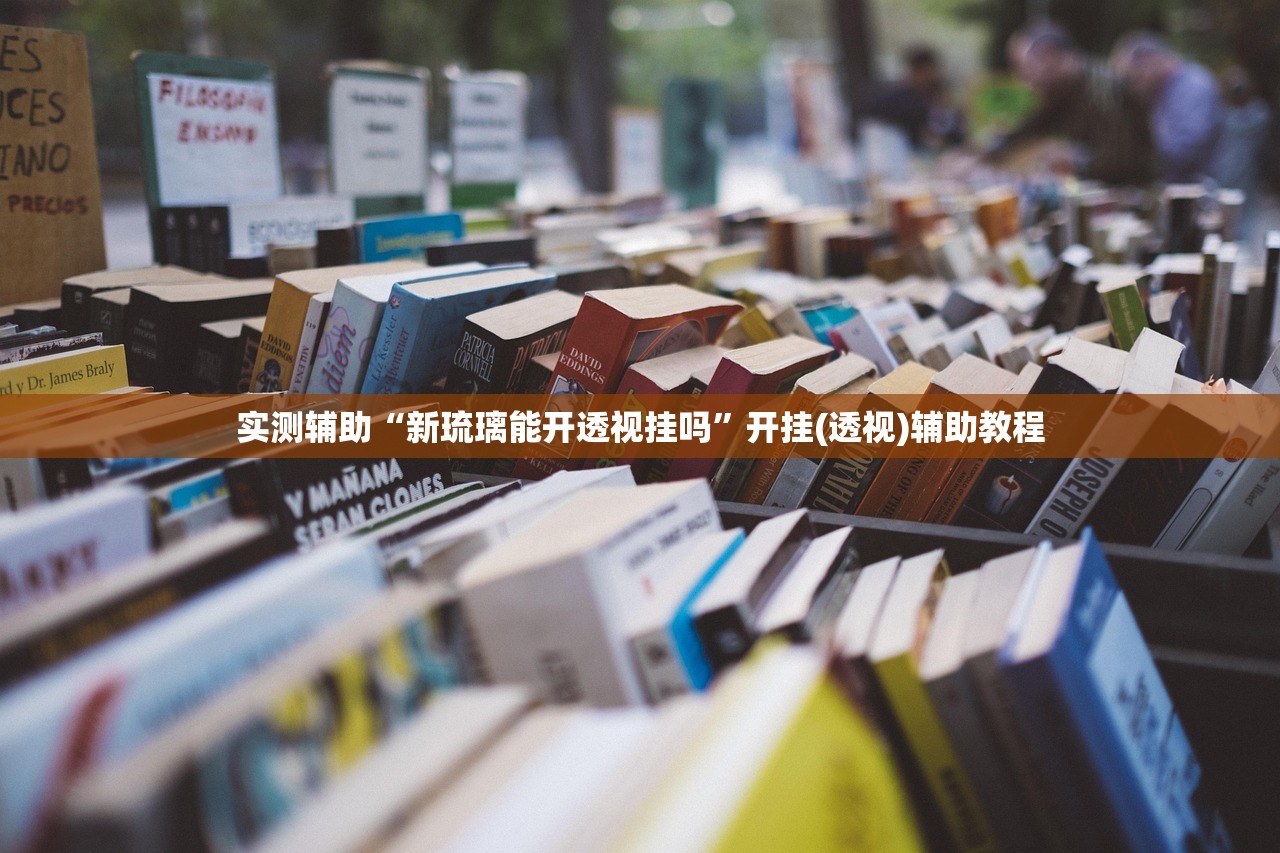 实测辅助“新琉璃能开透视挂吗”开挂(透视)辅助教程