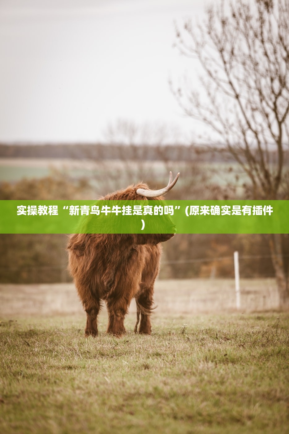 今日教程“微乐麻将有挂的是真是假”附开挂脚本详细步骤