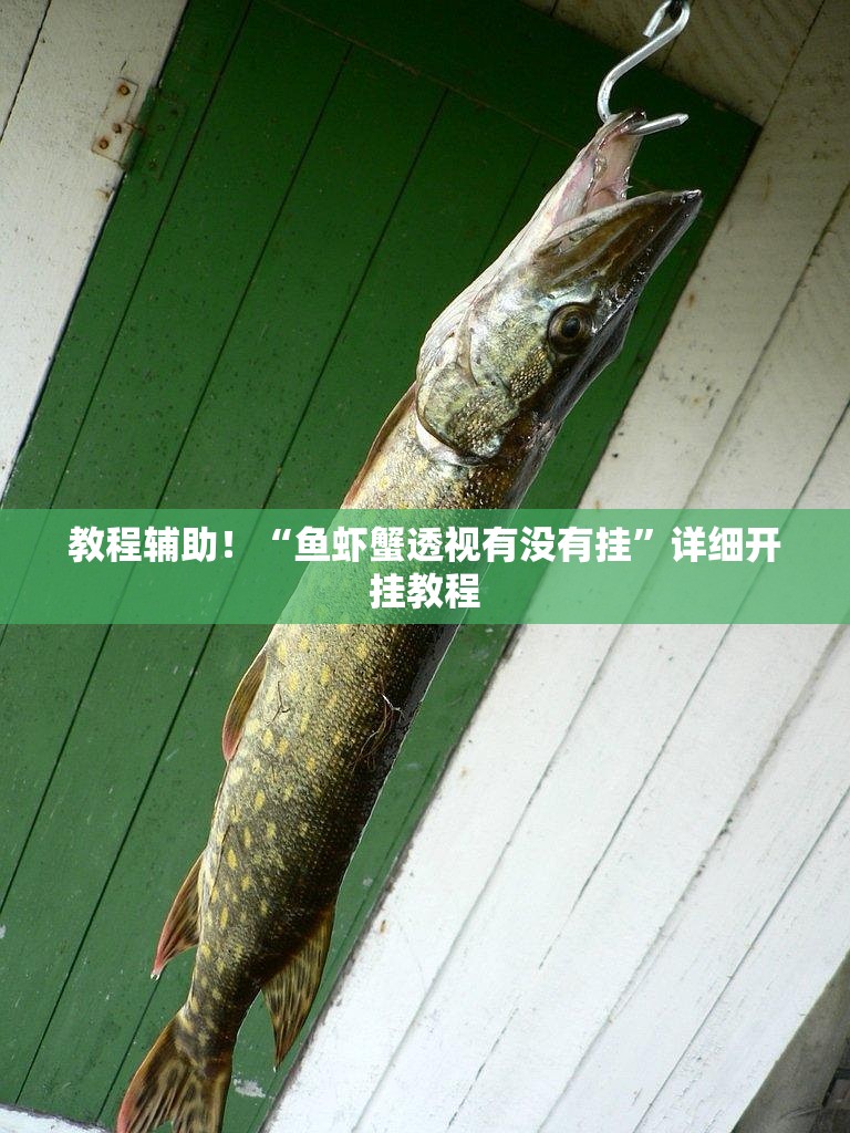 教程辅助！“鱼虾蟹透视有没有挂	”详细开挂教程