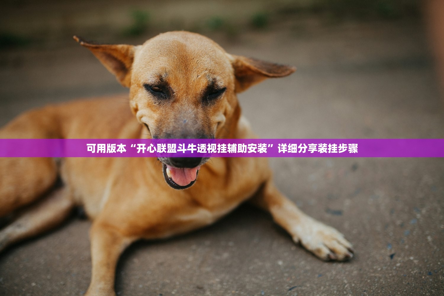 可用版本“开心联盟斗牛透视挂辅助安装	”详细分享装挂步骤