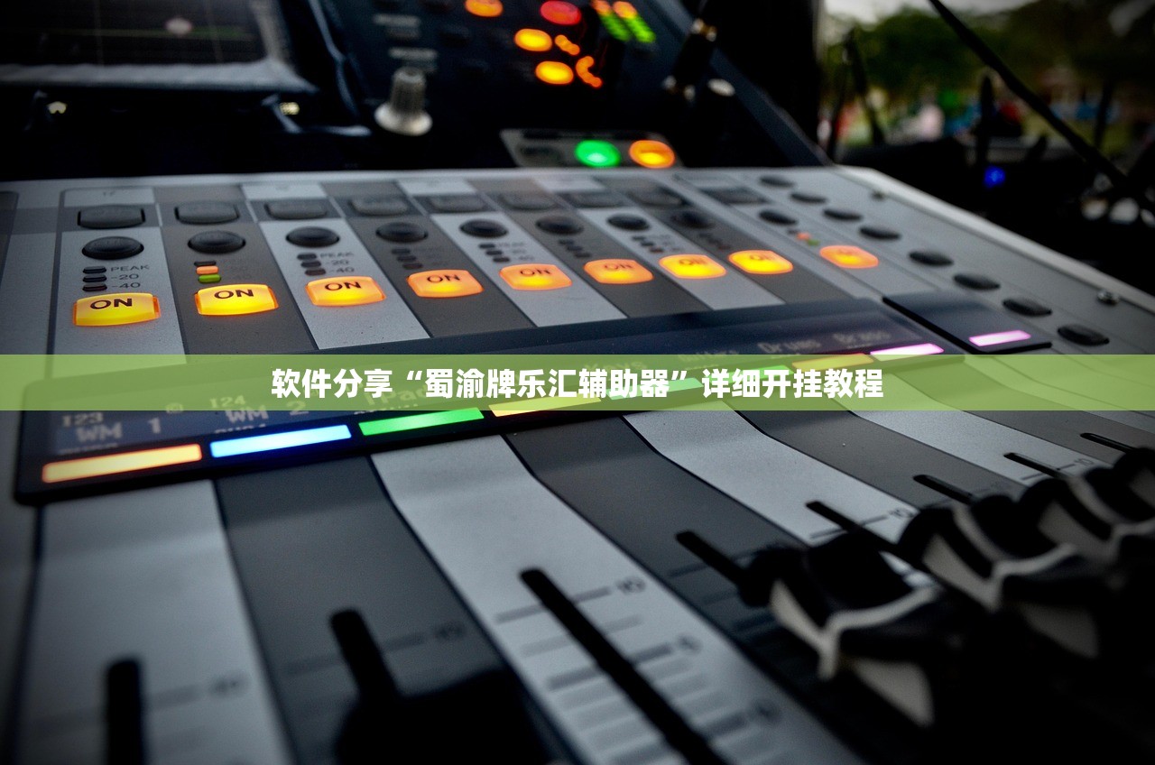 软件分享“蜀渝牌乐汇辅助器”详细开挂教程