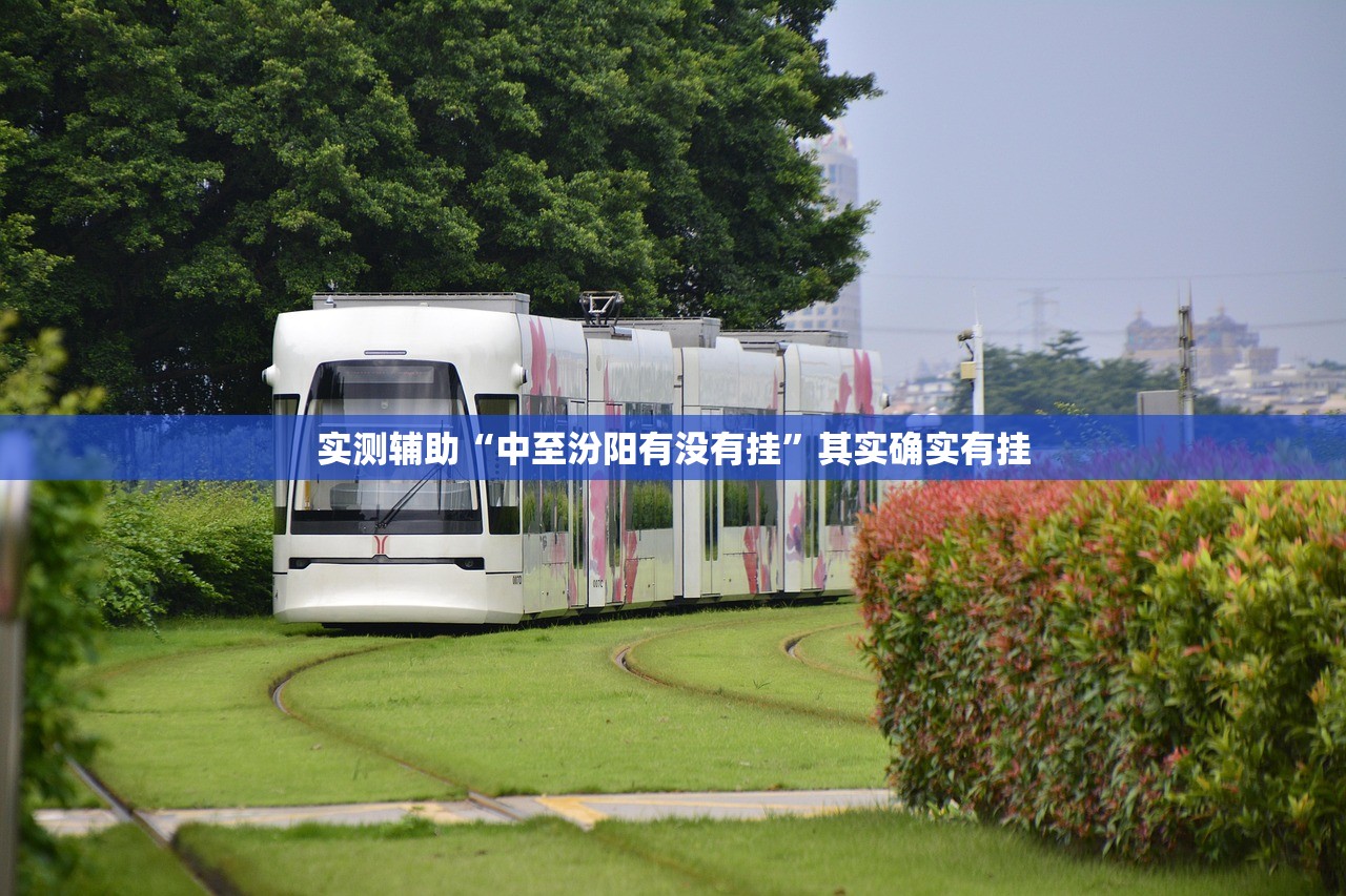 教程辅助“山东369麻将怎么开挂”2026新版本软件