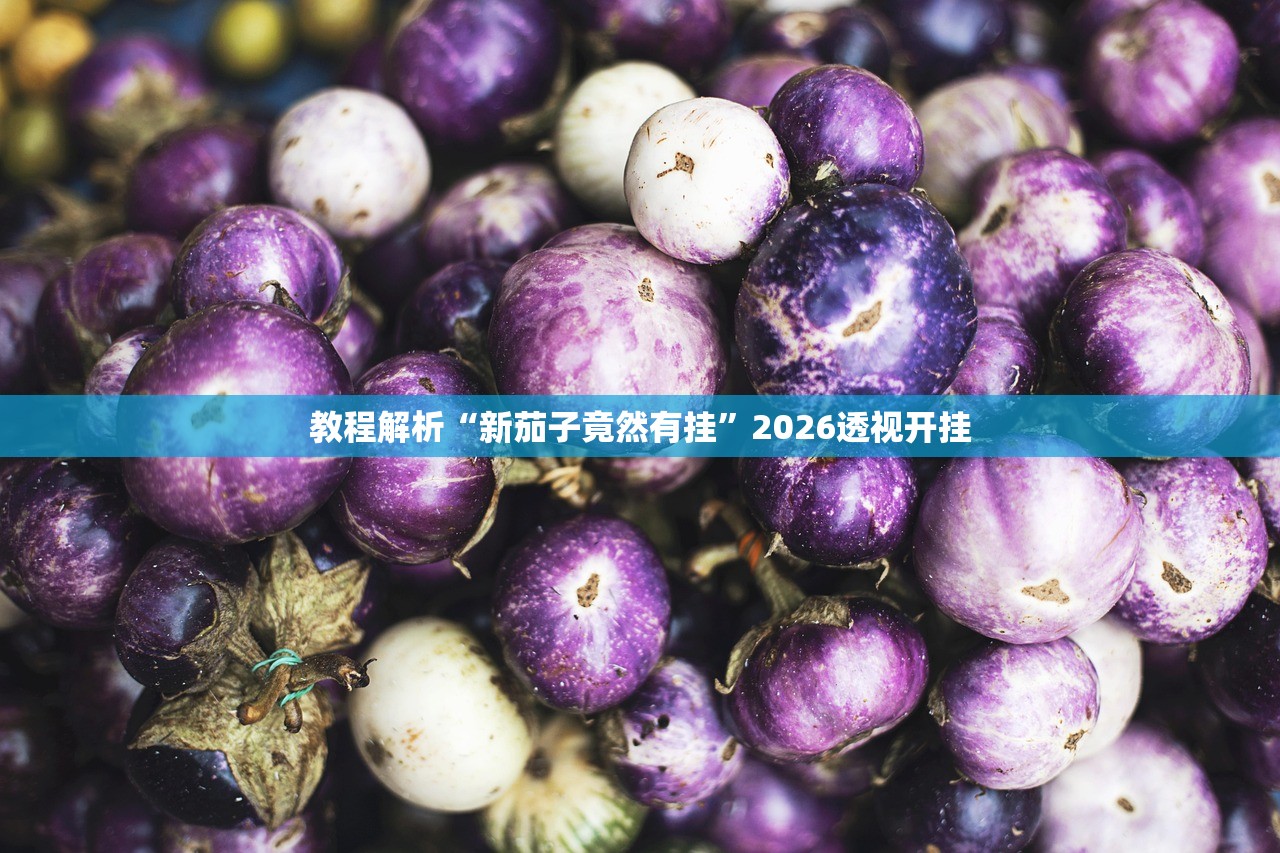 教程解析“新茄子竟然有挂”2026透视开挂