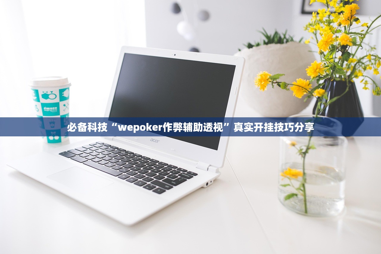 必备科技“wepoker作弊辅助透视”真实开挂技巧分享