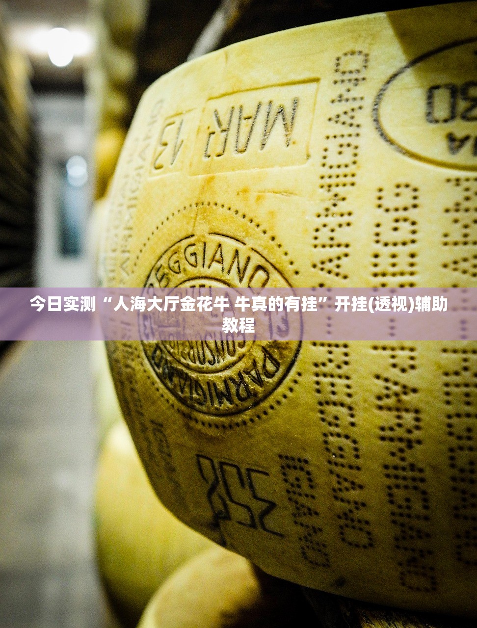 必备科技“海星大厅怎么装挂”2026开挂教程步骤