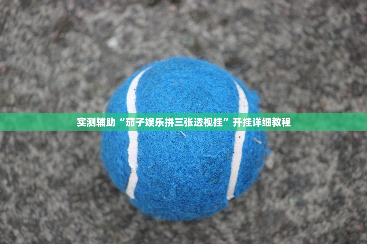 实测辅助“茄子娱乐拼三张透视挂”开挂详细教程