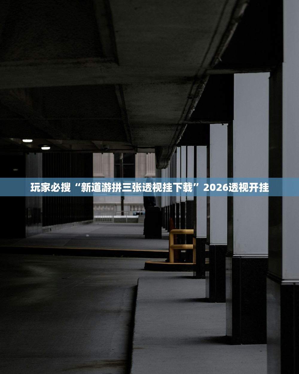 教程辅助“随便跑胡子辅助器”开挂详细教程