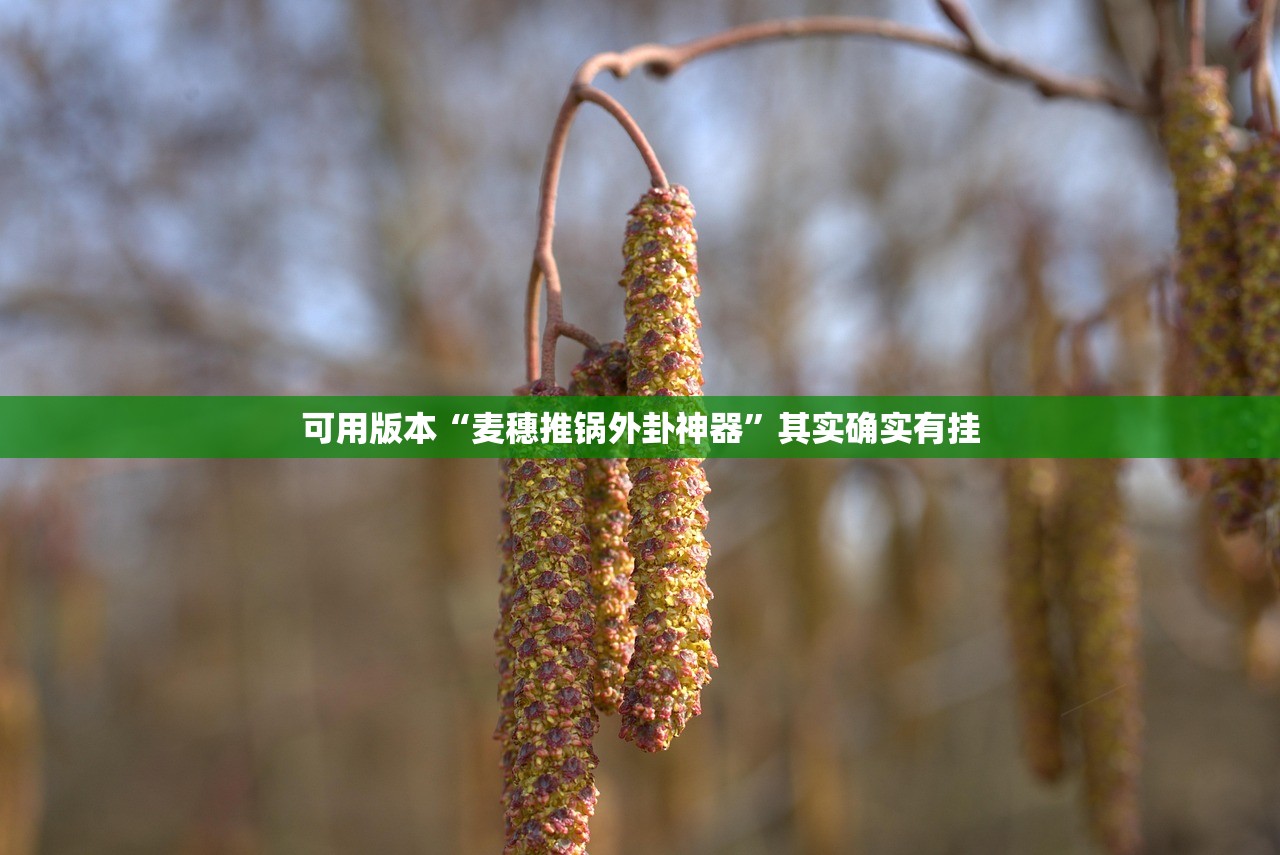 玩家必搜“龙城扑克有没有挂”详细分享装挂步骤