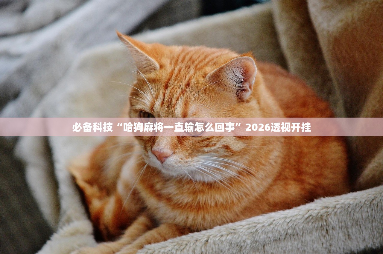 必备科技“哈狗麻将一直输怎么回事”2026透视开挂