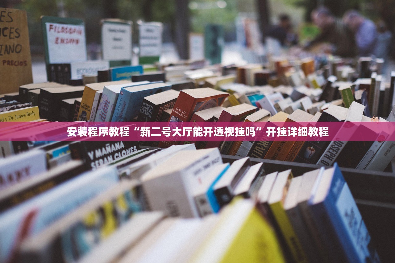 安装程序教程“新二号大厅能开透视挂吗”开挂详细教程