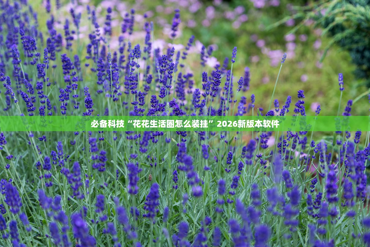 必备科技“花花生活圈怎么装挂	”2026新版本软件