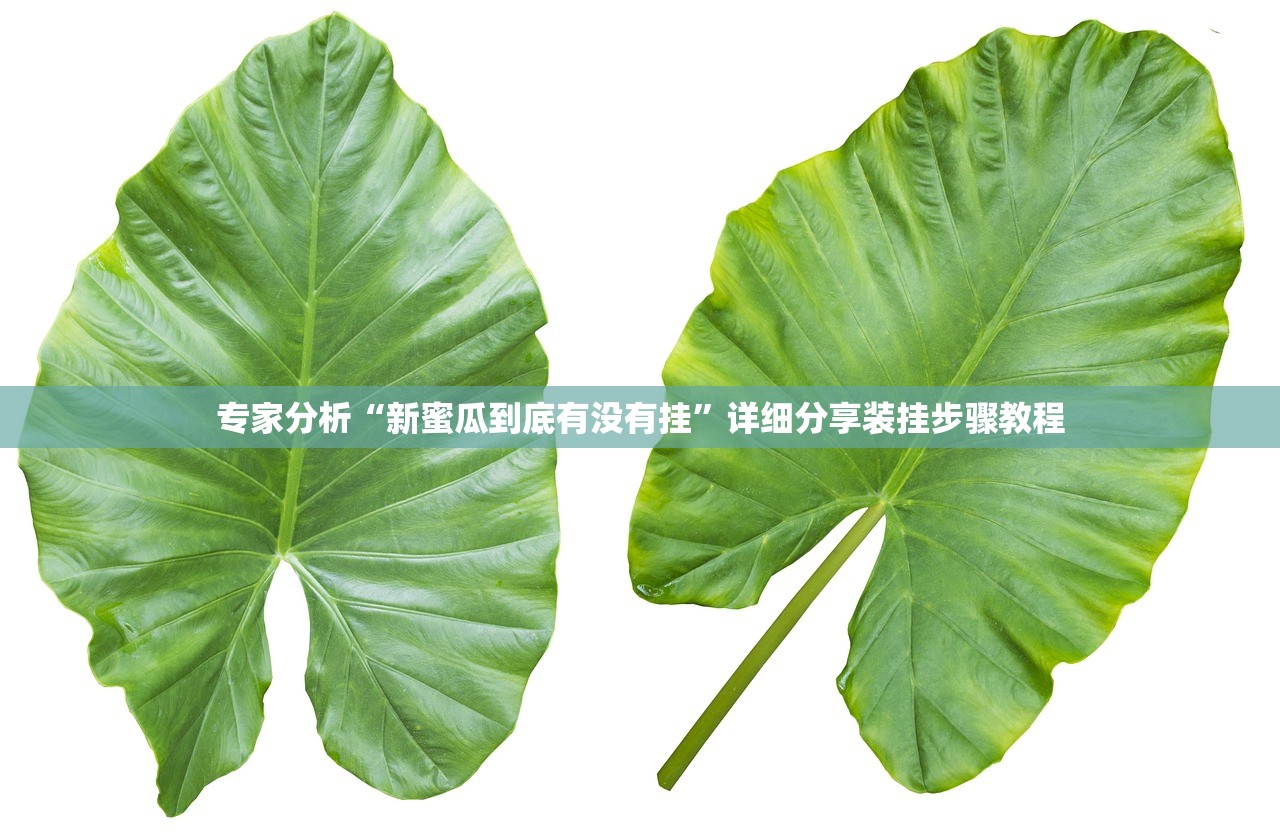 必学教你安装“上游大厅金花开挂透视软件”2026透视开挂
