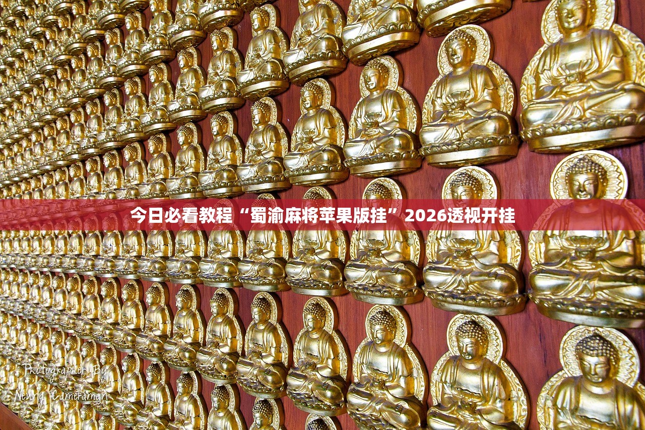 辅助神器“动力乐园怎么开挂”通用版下载教程！
