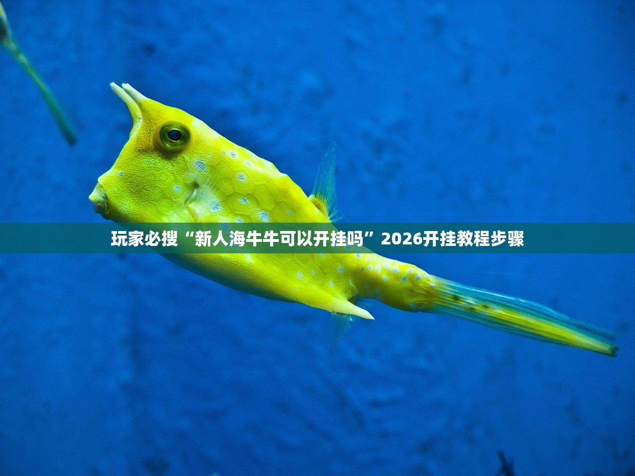 上海北蔡疫情,上海北蔡在哪个区 上海北蔡疫情,上海北蔡在哪个区