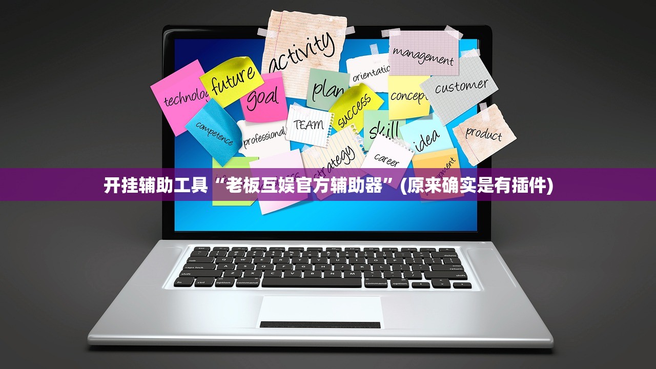 开挂辅助工具“老板互娱官方辅助器”(原来确实是有插件)