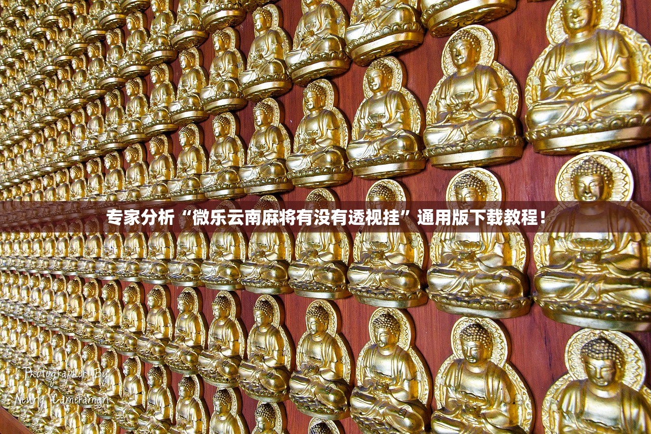 专家分析“微乐云南麻将有没有透视挂”通用版下载教程！