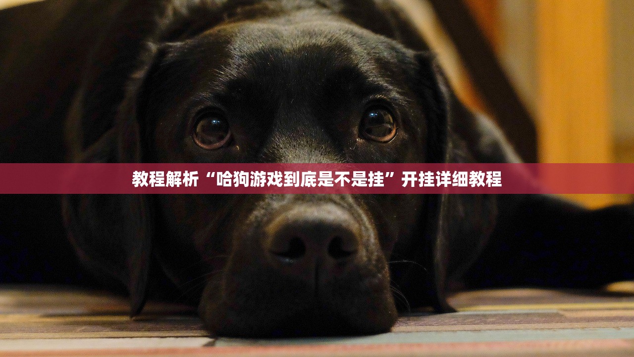 万能开挂辅助“哈灵麻将辅助开挂教程怎么用”开挂(透视)辅助教程