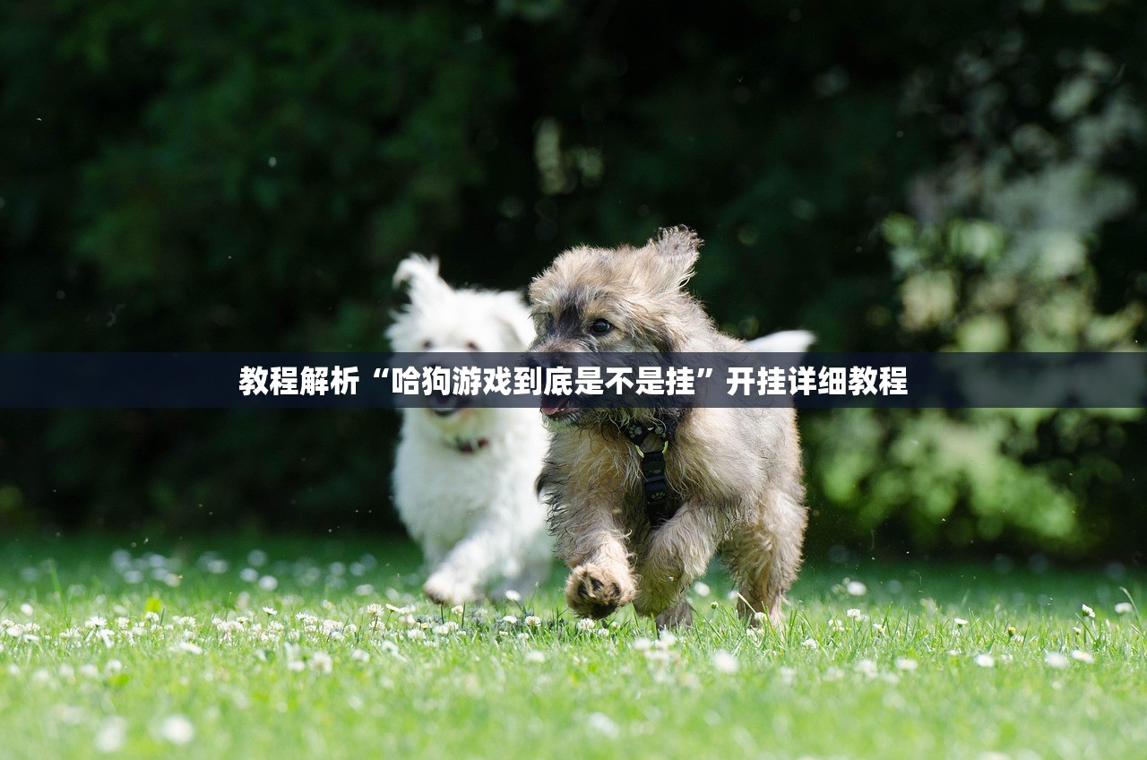 【浙江新增本土确诊31例/31省区市新增55例确诊病例,浙江新增1例本土病例】